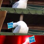 Inhaling Seagull Hasbro meme