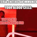 YOU PICKED THE WRONG HOUSE FOOL | BACTERIA: ENTERS AN IMMUNE BODY; YOUR BLOOD CELLS:; YOU PICKED THE WRONG HOUSE FOO | image tagged in you picked the wrong house fool | made w/ Imgflip meme maker