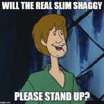 Will The Real Slim Shaggy Please Stand Up? | WILL THE REAL SLIM SHAGGY; PLEASE STAND UP? | image tagged in cartoon shaggy 2,shaggy,slim shady,eminem | made w/ Imgflip meme maker