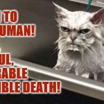 DEATH | SLOW, PAINFUL, MISERABLE HORRIBLE DEATH! DEATH TO YOU HUMAN! | image tagged in death | made w/ Imgflip meme maker