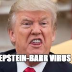 Trump ugly | EPSTEIN-BARR VIRUS | image tagged in trump ugly | made w/ Imgflip meme maker