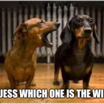 Married Dogs | GUESS WHICH ONE IS THE WIFE | image tagged in married dogs | made w/ Imgflip meme maker