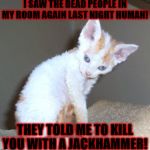 DEAD PEOPLE | I SAW THE DEAD PEOPLE IN MY ROOM AGAIN LAST NIGHT HUMAN! THEY TOLD ME TO KILL YOU WITH A JACKHAMMER! | image tagged in dead people | made w/ Imgflip meme maker