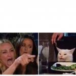 women crying puzzled cat meme