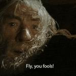 Gandalf Fly You Fools