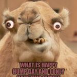 happy hump day | HAPPY HUMP DAY; WHAT IS HAPPY HUMP DAY AND I ONLY HAVE TWO FEMALE FRIENDS WHAT ONE DO I HUMP | image tagged in ugly camel,happy hump day,hump day camel,meme,memes,funny animals | made w/ Imgflip meme maker