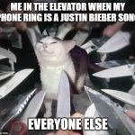 Knife Cat | ME IN THE ELEVATOR WHEN MY PHONE RING IS A JUSTIN BIEBER SONG; EVERYONE ELSE | image tagged in knife cat | made w/ Imgflip meme maker