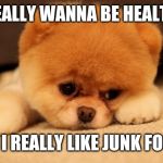 Sad puppy | I REALLY WANNA BE HEALTHY; BUT I REALLY LIKE JUNK FOOD... | image tagged in sad puppy | made w/ Imgflip meme maker