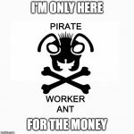 Pirate Worker Ant | I'M ONLY HERE; FOR THE MONEY | image tagged in pirate worker ant | made w/ Imgflip meme maker
