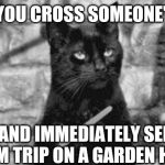 Black cat | WHEN YOU CROSS SOMEONE'S PATH; AND IMMEDIATELY SEE THEM TRIP ON A GARDEN HOSE. | image tagged in black cat | made w/ Imgflip meme maker