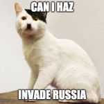 Hitler Cat | CAN I HAZ; INVADE RUSSIA | image tagged in hitler cat | made w/ Imgflip meme maker