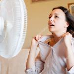 Hot woman and her fan