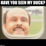 Airplane Window Looking In | HAVE YOU SEEN MY DUCK? | image tagged in airplane window looking in | made w/ Imgflip meme maker