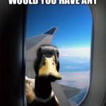 Airplane Duck | PARDON ME! BUT WOULD YOU HAVE ANY; GREY POUPON? | image tagged in airplane duck | made w/ Imgflip meme maker