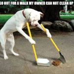 lazy dog owner | EVERY TIME WE GO OUT FOR A WALK MY OWNER CAN NOT CLEAN UP AFTER HIM SELF | image tagged in funny dog,funny dogs,funny animals,lol so funny,meme,memes | made w/ Imgflip meme maker