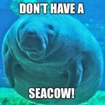 manatee frenzy | DON’T HAVE A; SEACOW! | image tagged in manatee frenzy | made w/ Imgflip meme maker