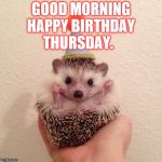 good morning | GOOD MORNING HAPPY BIRTHDAY THURSDAY. | image tagged in happy thursday,thursday,memes,funny animals,happy birthday | made w/ Imgflip meme maker