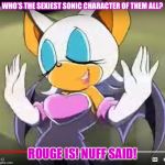WHOS THE SEXIEST SONIC CHARACTER OF THEM ALL?! | WHO’S THE SEXIEST SONIC CHARACTER OF THEM ALL? ROUGE IS! NUFF SAID! | image tagged in whos the sexiest sonic character of them all | made w/ Imgflip meme maker