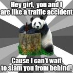 Pickup Line Panda | Hey girl,  you and I are like a traffic accident Cause I can't wait to slam you from behind! | image tagged in memes,pickup line panda | made w/ Imgflip meme maker