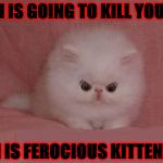 KILL YOU | I IS GOING TO KILL YOU; I IS FEROCIOUS KITTEN! | image tagged in kill you | made w/ Imgflip meme maker