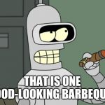 bender is smart | THAT IS ONE GOOD-LOOKING BARBEQUE! | image tagged in bender is smart | made w/ Imgflip meme maker