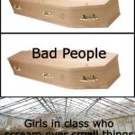 Annoying screeching girls | Good People; Bad People; Girls in class who scream over small things | image tagged in coffin | made w/ Imgflip meme maker