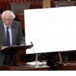 BERNIE SIGN BLANK