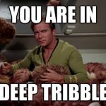 Kirk Trouble with Tribbles