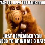 This is how we’ll get inside | YEAH I’LL OPEN THE BACK DOOR; JUST REMEMBER YOU NEED TO BRING ME 3 CATS | image tagged in alf,area 51 | made w/ Imgflip meme maker