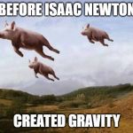 Pigs Fly | BEFORE ISAAC NEWTON; CREATED GRAVITY | image tagged in pigs fly | made w/ Imgflip meme maker