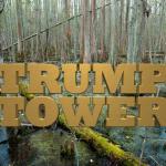 Great Dismal Swamp Trump Tower