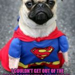 Hay dere pretty lady. Super pug is here to save you with derpyne | HAPPY BELATED BIRTHDAY, TANYA! I COULDN'T GET OUT OF THE PHONE BOOTH I WAS CHANGING IN. HOPE IT WAS HAPPY! | image tagged in hay dere pretty lady super pug is here to save you with derpyne | made w/ Imgflip meme maker