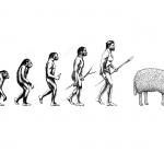 Human Sheep Evolution meme