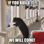 Balcony Bear | IF YOU BUILD IT... WE WILL COME! | image tagged in balcony bear | made w/ Imgflip meme maker