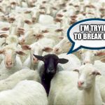 black sheep | I'M TRYING TO BREAK FREE | image tagged in black sheep | made w/ Imgflip meme maker