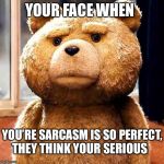Your/You’re Face When (Perfect Sarcasm) | YOUR FACE WHEN; YOU’RE SARCASM IS SO PERFECT, THEY THINK YOUR SERIOUS | image tagged in your face when,ted,grammar nazi,grammar,language,sarcasm | made w/ Imgflip meme maker