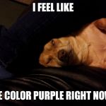 Bruno | I FEEL LIKE; THE COLOR PURPLE RIGHT NOW... | image tagged in bruno | made w/ Imgflip meme maker