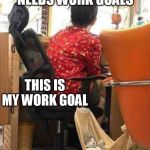 Everyone needs work goals | EVERYONE NEEDS WORK GOALS; THIS IS MY WORK GOAL | image tagged in cat at work in hammock,cat,girl,work,hammock,cute | made w/ Imgflip meme maker