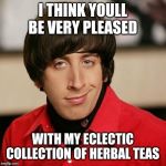 Howard Wolowotz well hello | I THINK YOULL BE VERY PLEASED; WITH MY ECLECTIC COLLECTION OF HERBAL TEAS | image tagged in howard wolowotz well hello | made w/ Imgflip meme maker