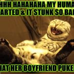 SHE FARTED | AHHH HAHAHAHA MY HUMAN FARTED & IT STUNK SO BAD; THAT HER BOYFRIEND PUKED! | image tagged in she farted | made w/ Imgflip meme maker