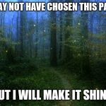 fireflies | I MAY NOT HAVE CHOSEN THIS PATH; BUT I WILL MAKE IT SHINE! | image tagged in fireflies | made w/ Imgflip meme maker