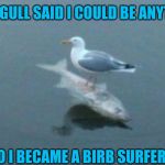 But mama gull never said you'd be a meme. | MAMA GULL SAID I COULD BE ANYTHING. SO I BECAME A BIRB SURFER. | image tagged in gull surfing on a fish,birb,surfing | made w/ Imgflip meme maker