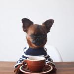 god morning cup puppy