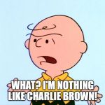 Angry Charlie Brown | WHAT? I'M NOTHING LIKE CHARLIE BROWN! | image tagged in angry charlie brown | made w/ Imgflip meme maker