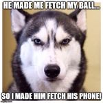 Grumpy Dog | HE MADE ME FETCH MY BALL... SO I MADE HIM FETCH HIS PHONE! | image tagged in grumpy dog | made w/ Imgflip meme maker
