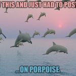 Thanks for all the fish | SAW THIS AND JUST HAD TO POST IT... ...ON PORPOISE. | image tagged in thanks for all the fish | made w/ Imgflip meme maker