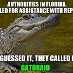 It's obvious who you'd call | AUTHORITIES IN FLORIDA CALLED FOR ASSISTANCE WITH REPTILE; YOU GUESSED IT, THEY CALLED FOR; GATORAID | image tagged in laughing alligator,alligator,alligators,gatorade,florida | made w/ Imgflip meme maker