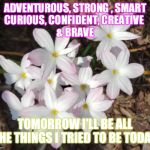 Flowers | ADVENTUROUS, STRONG , SMART
CURIOUS, CONFIDENT, CREATIVE 
& BRAVE; TOMORROW I'LL BE ALL THE THINGS I TRIED TO BE TODAY | image tagged in flowers | made w/ Imgflip meme maker