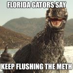 Godzilla approved | FLORIDA GATORS SAY; KEEP FLUSHING THE METH | image tagged in godzilla approved | made w/ Imgflip meme maker