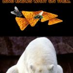 shame | AFTER I BRUSH FLIES OFF OF MY DORITOS, I STILL EAT THE DORITOS AFTERWARDS AS IF THEY HADN'T PUKED AND CACAD AND DROOLED LORD KNOWS WHAT ON THEM. | image tagged in shame | made w/ Imgflip meme maker